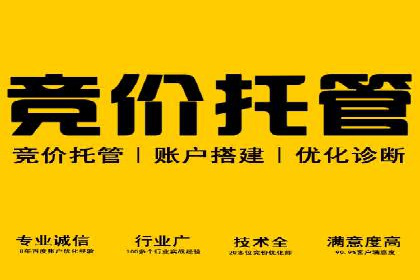 如何通过SEM提高网站转化率——以某电商平台的实战经验为参考